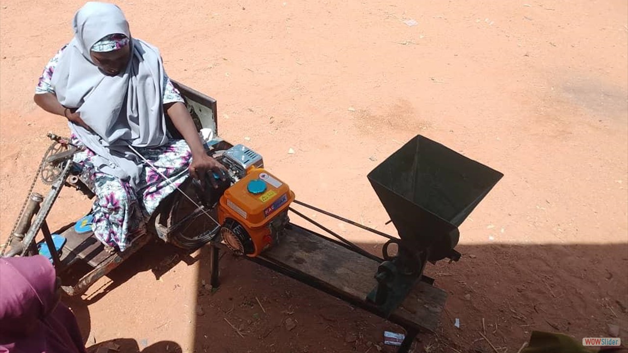 DISABILITY INCLUSION 2